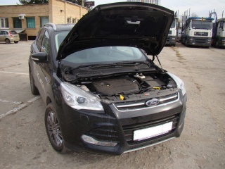 Упор капота двойной для Ford Kuga 2 (2013-2017)