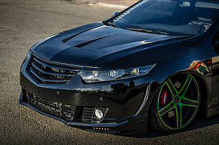 Крыло (левое) Honda Accord 8 (VIII) / Acura TSX (CU/CW) (2008-2013)
